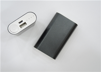 Powerbank PW-105